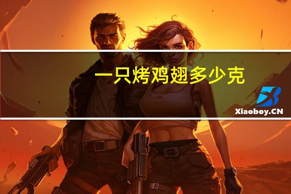 一只烤鸡翅多少克
