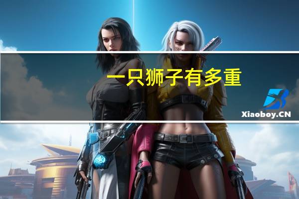 一只狮子有多重