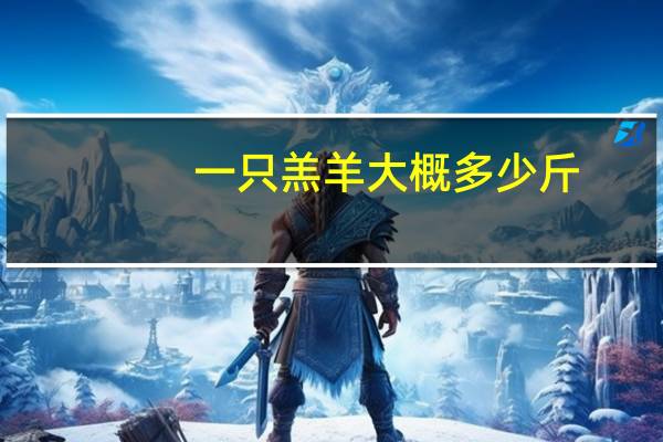 一只羔羊大概多少斤