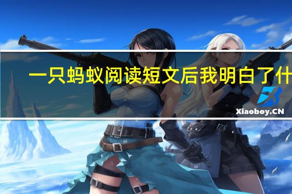 一只蚂蚁阅读短文后我明白了什么