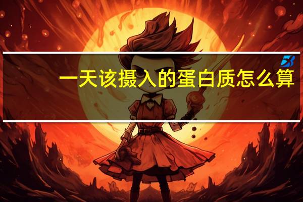 一天该摄入的蛋白质怎么算