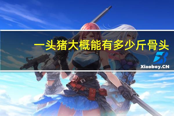 一头猪大概能有多少斤骨头