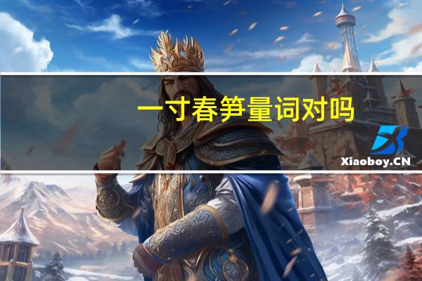一寸春笋量词对吗