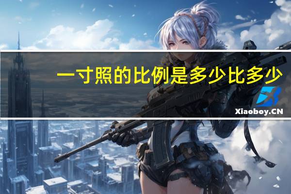 一寸照的比例是多少比多少
