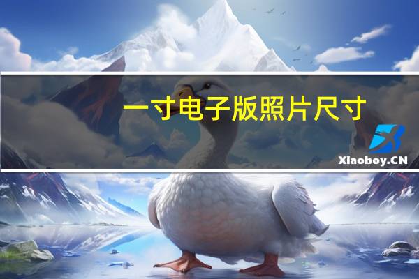 一寸电子版照片尺寸