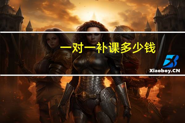 一对一补课多少钱
