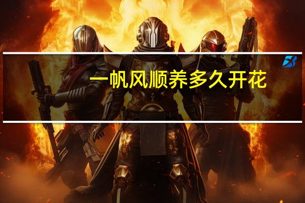 一帆风顺养多久开花