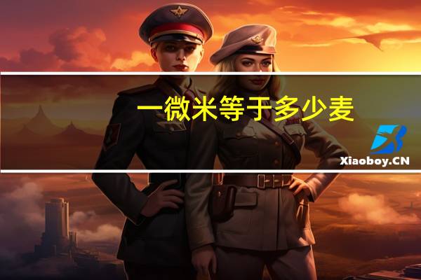 一微米等于多少麦