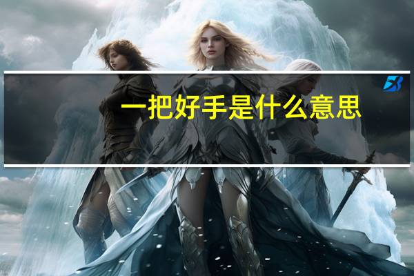 一把好手是什么意思