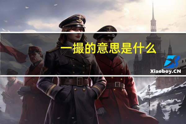 一撮的意思是什么