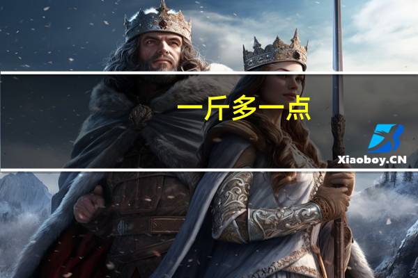 一斤多一点（打一字）