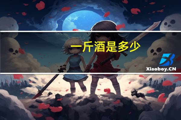 一斤酒是多少
