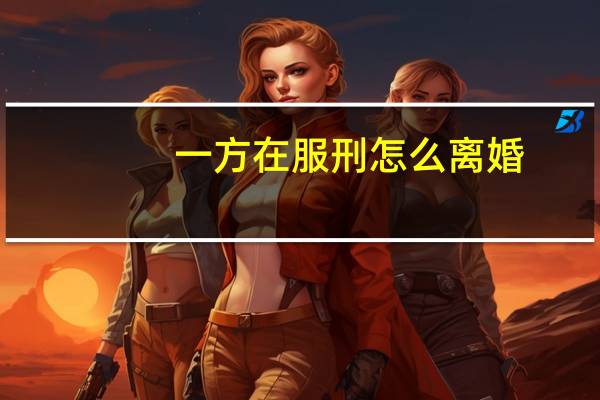 一方在服刑怎么离婚