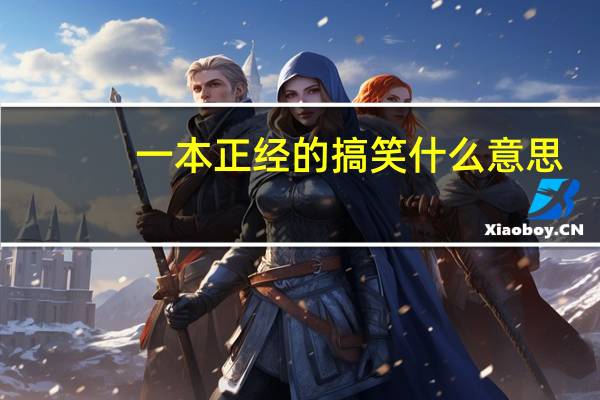 一本正经的搞笑什么意思