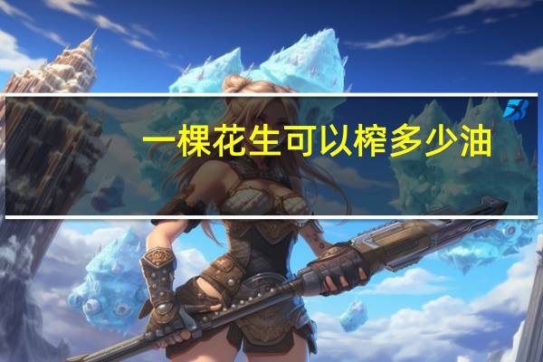 一棵花生可以榨多少油