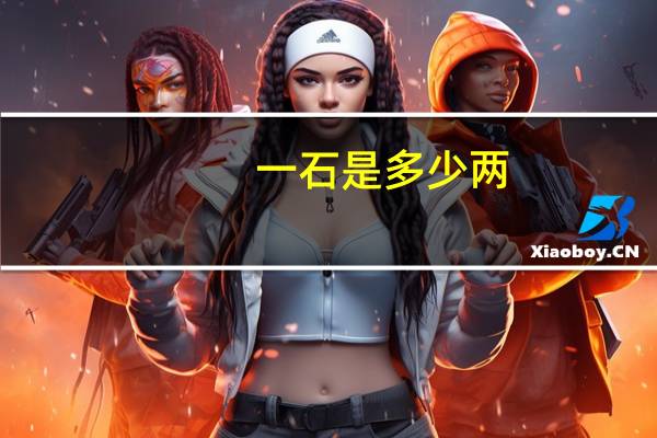 一石是多少两