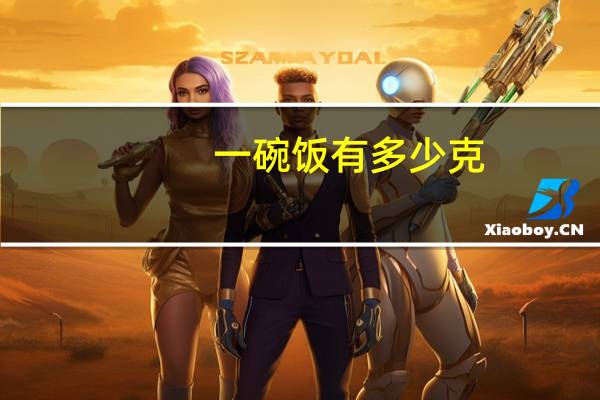 一碗饭有多少克