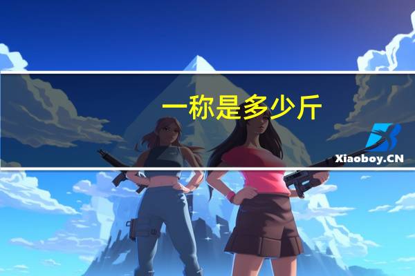 一称是多少斤