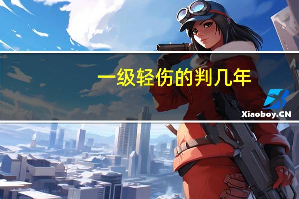 一级轻伤的判几年
