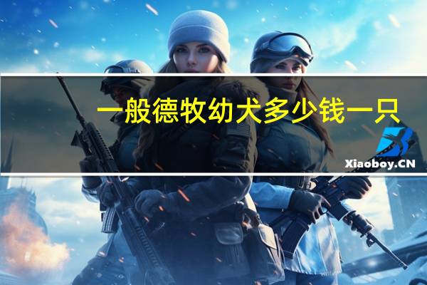 一般德牧幼犬多少钱一只