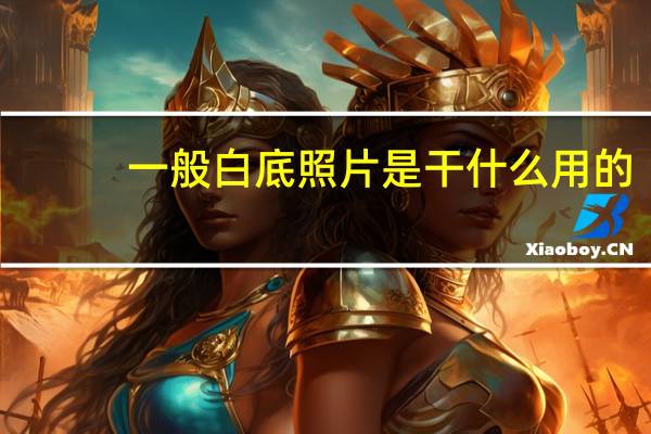 一般白底照片是干什么用的