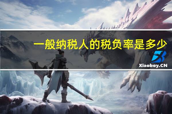 一般纳税人的税负率是多少