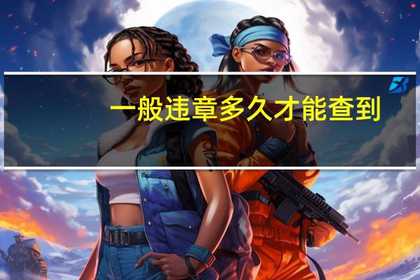 一般违章多久才能查到