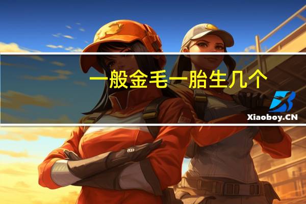 一般金毛一胎生几个