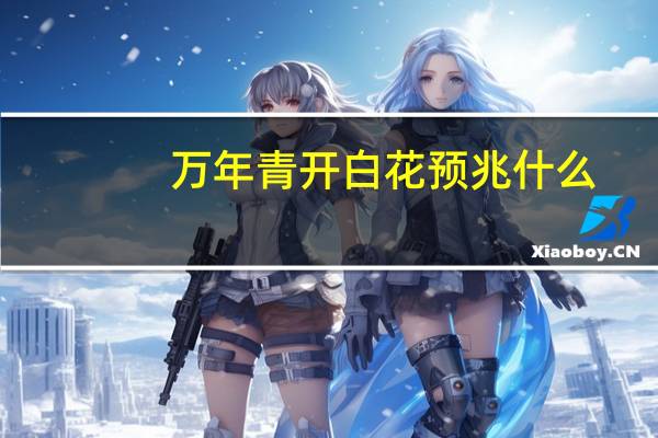 万年青开白花预兆什么