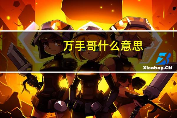万手哥什么意思
