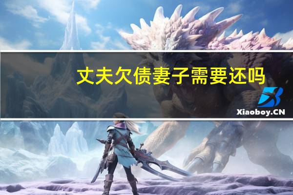 丈夫欠债妻子需要还吗