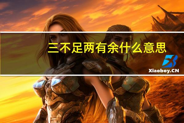 三不足两有余什么意思