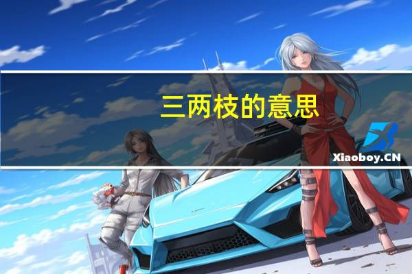 三两枝的意思