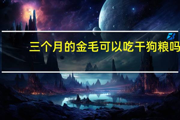 三个月的金毛可以吃干狗粮吗