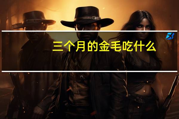 三个月的金毛吃什么