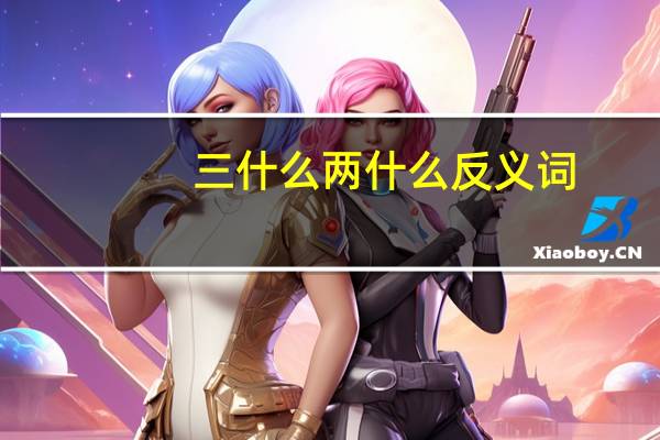 三什么两什么反义词