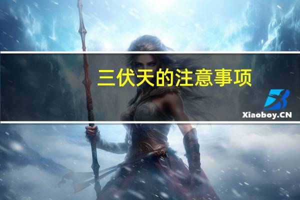 三伏天的注意事项