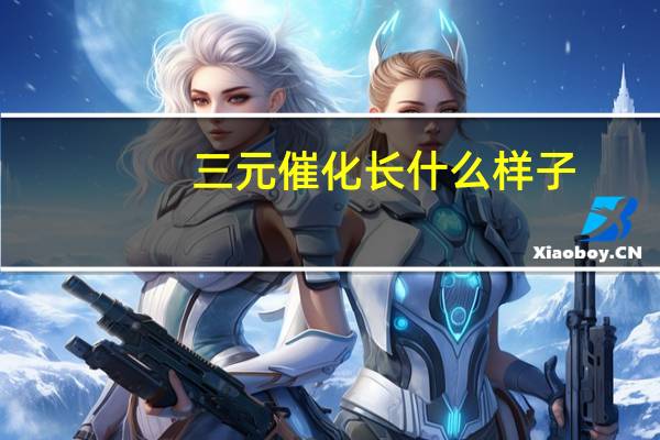 三元催化长什么样子
