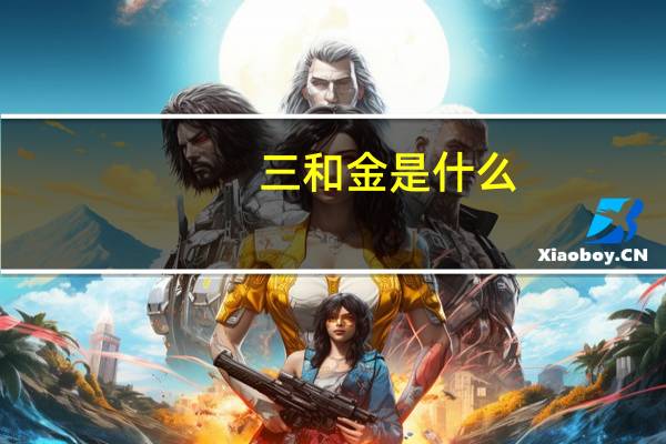 三和金是什么