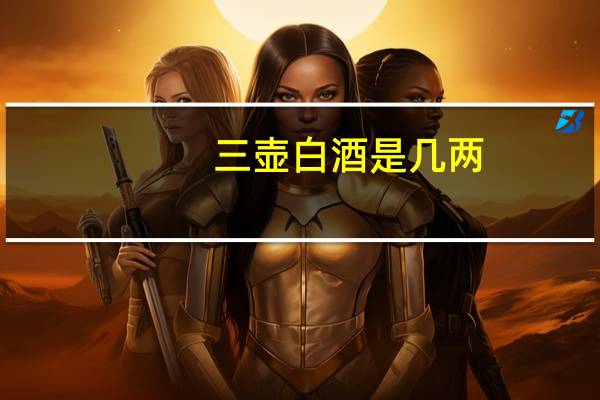 三壶白酒是几两