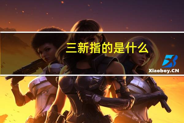 三新指的是什么
