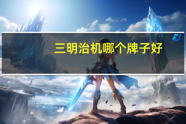 三明治机哪个牌子好