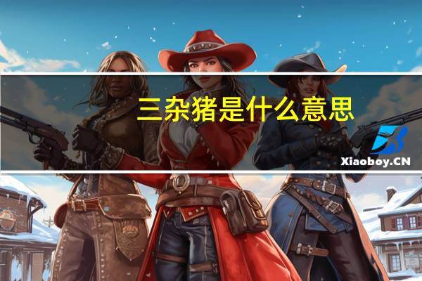 三杂猪是什么意思