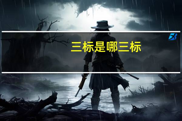 三标是哪三标