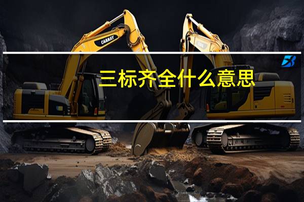 三标齐全什么意思