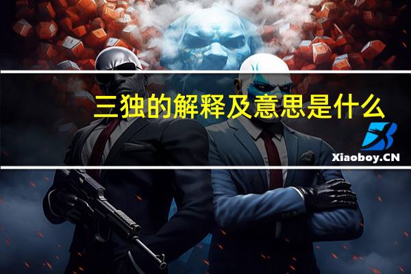三独的解释及意思是什么