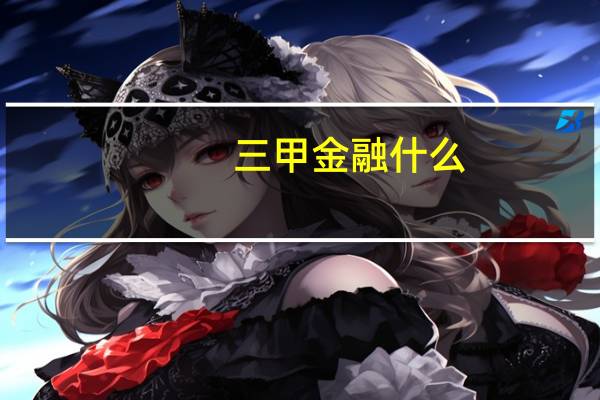 三甲金融什么