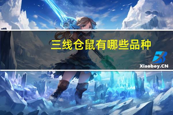三线仓鼠有哪些品种