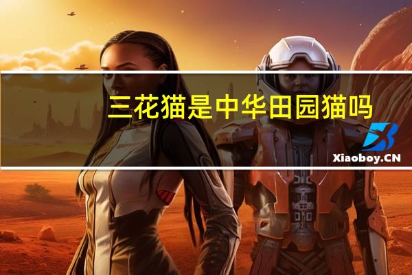 三花猫是中华田园猫吗