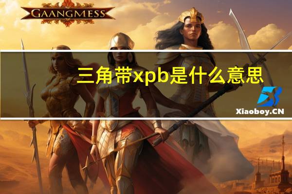 三角带xpb是什么意思